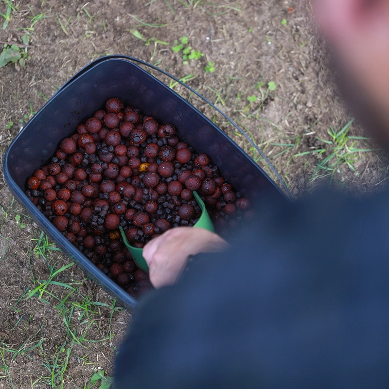 Sticky Baits Black Buckets